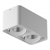 052326-IP65 Светильник MONOCCO LED 2х10W 1200LM 30G БЕЛЫЙ 3000K (в комплекте)