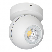051006 Светильник GLOBO LED 8W 730LM 40G БЕЛЫЙ 3000K IP65 (в комплекте)