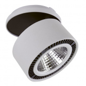 214849 Светильник  FORTE INCA LED 40W 3400LM 30G СЕРЫЙ 4000K (в комплекте)