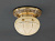 Reccagni Angelo PL 7843/1