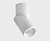 IT02-022 white 4000K