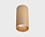 IT08-8012 gold