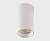 IT02-019 white 4000K